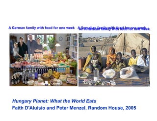 Manure happens: Altering the global nitrogen cycle by feeding about seven billion carnivorous humans