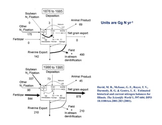 Manure happens: Altering the global nitrogen cycle by feeding about seven billion carnivorous humans