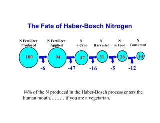 Manure happens: Altering the global nitrogen cycle by feeding about seven billion carnivorous humans
