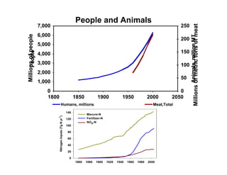 Manure happens: Altering the global nitrogen cycle by feeding about seven billion carnivorous humans