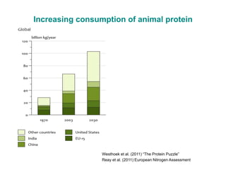 Manure happens: Altering the global nitrogen cycle by feeding about seven billion carnivorous humans