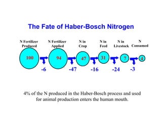 Manure happens: Altering the global nitrogen cycle by feeding about seven billion carnivorous humans