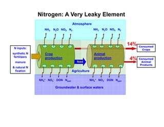 Manure happens: Altering the global nitrogen cycle by feeding about seven billion carnivorous humans
