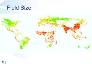 Geo-wiki.org: A global platform to visualize, crowd-source and improve information on global land cover and land use