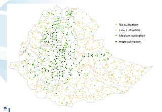 Geo-wiki.org: A global platform to visualize, crowd-source and improve information on global land cover and land use