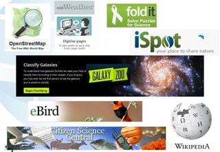 Geo-wiki.org: A global platform to visualize, crowd-source and improve information on global land cover and land use