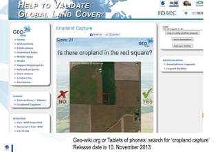 Geo-wiki.org: A global platform to visualize, crowd-source and improve information on global land cover and land use