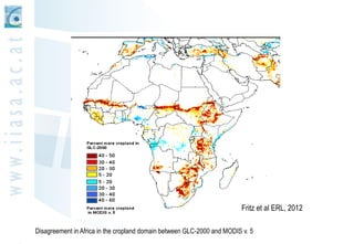 Geo-wiki.org: A global platform to visualize, crowd-source and improve information on global land cover and land use