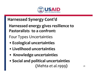 Harnessed Synergy Cont’d 
Harnessed energy gives resilience to 
Pastoralists to a confront: 
Four Types Uncertainties 
• Ecological uncertainties 
• Livelihood uncertainties 
• Knowledge uncertainties 
• Social and political uncertainties 
(Mehta et al.1999) 20 
 