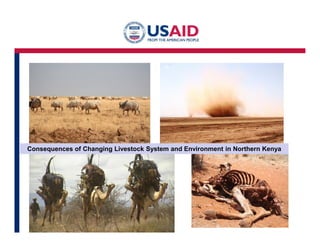 Consequences of Changing Livestock System and Environment in Northern Kenya 
5 
 