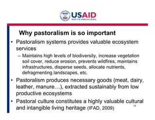Formal and informal governance: Powerful policy option for harnessing synergies to secure livestock systems and environment in Marsabit, northern Kenya 