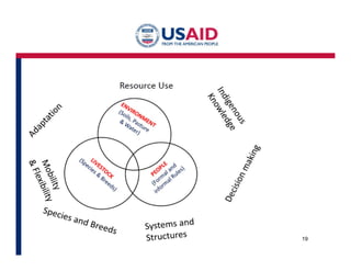Formal and informal governance: Powerful policy option for harnessing synergies to secure livestock systems and environment in Marsabit, northern Kenya 