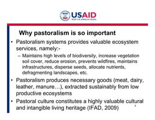 Formal and informal governance: Powerful policy option for harnessing synergies to secure livestock systems and environment in Marsabit, northern Kenya 