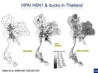 Spatial epidemiology of avian influenza in Asia and intensifying poultry production systems