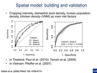 Spatial epidemiology of avian influenza in Asia and intensifying poultry production systems