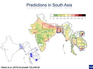 Spatial epidemiology of avian influenza in Asia and intensifying poultry production systems