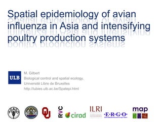 Spatial epidemiology of avian influenza in Asia and intensifying poultry production systems