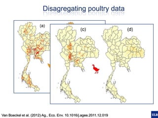 Spatial epidemiology of avian influenza in Asia and intensifying poultry production systems