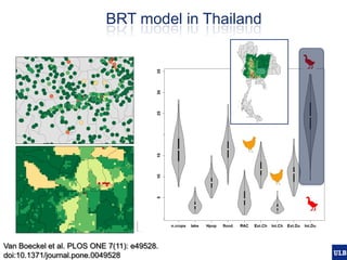Spatial epidemiology of avian influenza in Asia and intensifying poultry production systems