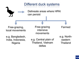 Spatial epidemiology of avian influenza in Asia and intensifying poultry production systems
