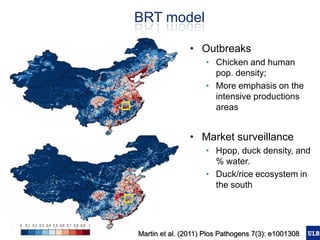 Spatial epidemiology of avian influenza in Asia and intensifying poultry production systems