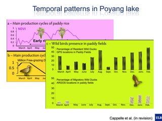 Spatial epidemiology of avian influenza in Asia and intensifying poultry production systems