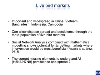 Spatial epidemiology of avian influenza in Asia and intensifying poultry production systems