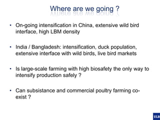 Spatial epidemiology of avian influenza in Asia and intensifying poultry production systems