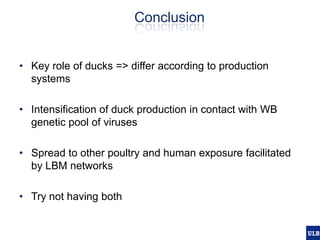 Spatial epidemiology of avian influenza in Asia and intensifying poultry production systems