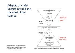 Is the IPCC’s Fifth Assessment Report telling us anything new about climate change and food security?