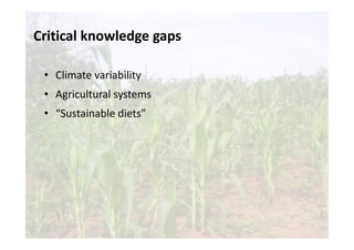 Is the IPCC’s Fifth Assessment Report telling us anything new about climate change and food security?