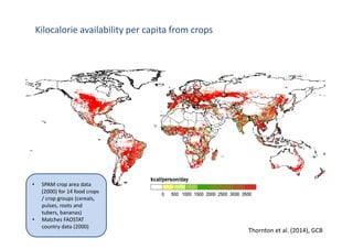 Is the IPCC’s Fifth Assessment Report telling us anything new about climate change and food security?
