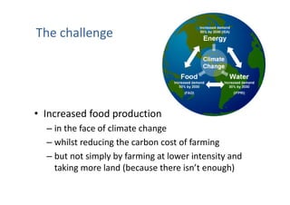 Is the IPCC’s Fifth Assessment Report telling us anything new about climate change and food security?