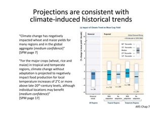 Is the IPCC’s Fifth Assessment Report telling us anything new about climate change and food security?