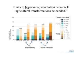 Is the IPCC’s Fifth Assessment Report telling us anything new about climate change and food security?