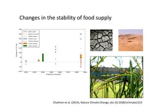 Is the IPCC’s Fifth Assessment Report telling us anything new about climate change and food security?