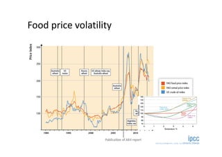 Is the IPCC’s Fifth Assessment Report telling us anything new about climate change and food security?