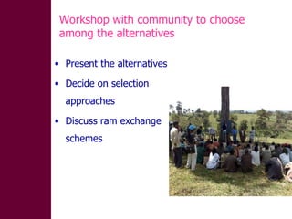 Designing community-based breeding strategies for indigenous sheep breeds of smallholders in Ethiopia