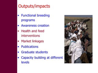 Designing community-based breeding strategies for indigenous sheep breeds of smallholders in Ethiopia