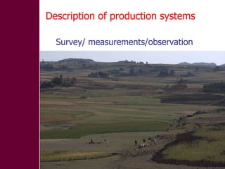 Designing community-based breeding strategies for indigenous sheep breeds of smallholders in Ethiopia
