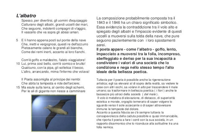 Il Rinnovamento Della Poesia Nella Seconda Met Dell 800
