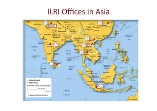 ILRI	
  Oﬃces	
  in	
  Asia	
  	
  
                                           Beijing
 New Delhi




                         Hanoi


Hyderabad            Vientiane




                   Bangkok




        Kandy




                                 Jakarta
 