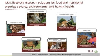International Livestock Research Institute: Our work, what I do ...