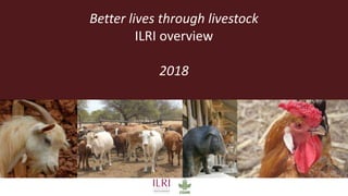 Better lives through livestock
ILRI overview
2018
 