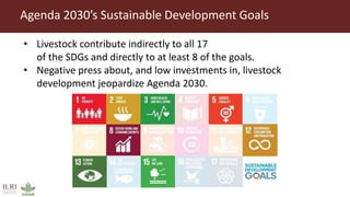 Better lives through livestock: ILRI overview