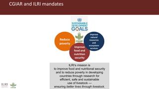 Better lives through livestock: ILRI overview