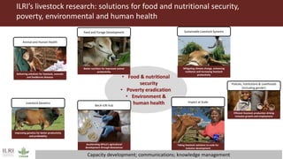 Better lives through livestock: ILRI overview