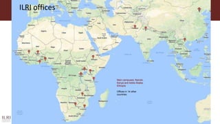 Better lives through livestock: ILRI overview