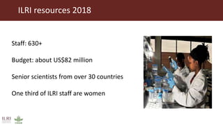 Better lives through livestock: ILRI overview