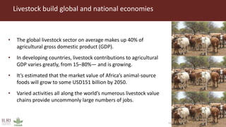 Better lives through livestock: ILRI overview